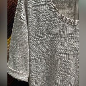 STYLE & CO. shimmery taupe blouse— short sleeves, scoop neck & zipper in back.